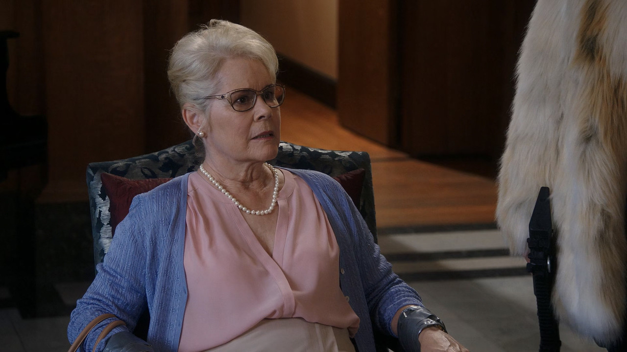 Brooklyn Nine-Nine (2013) S07E05 Debbie (1080p AMZN WEB-DL x265 