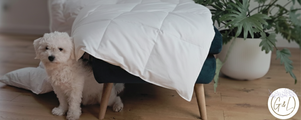 Ekspozycja kołdry na fotelu z psem i kwiatem