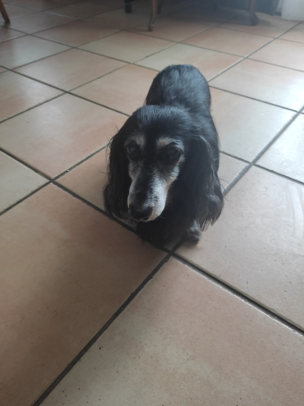 [Image: IMG-20231231-131138.jpg]