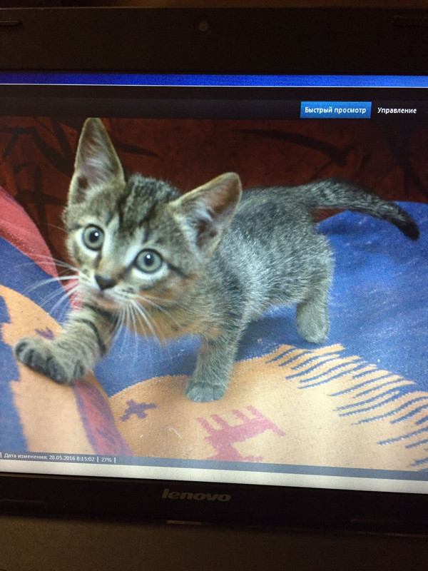 изображение_viber_2019-12-05_19-38-56