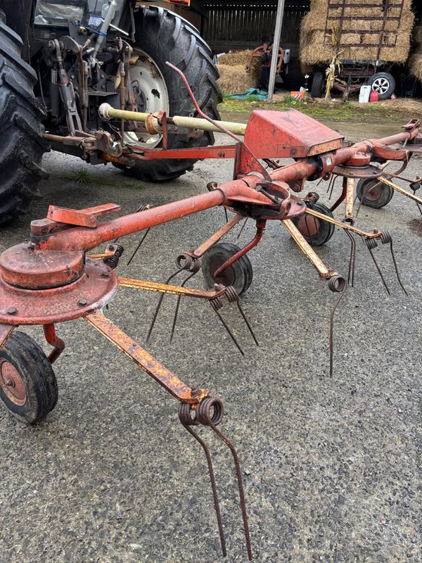 567703413 2308677882927788 8758626198036410747 n