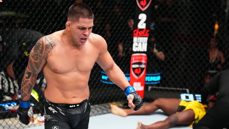 Бруно Ферейра срещу Армен Петросян на UFC 313