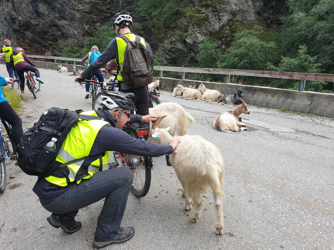 88FCA963-74BE-447D-B3A9-6FDA978093C6