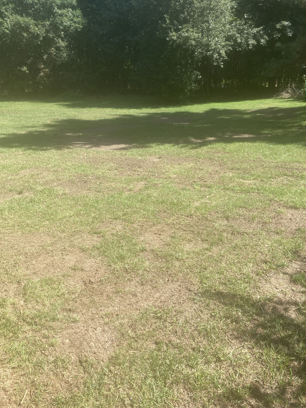 C3D29C70-4494-4857-9072-4671891A17CE