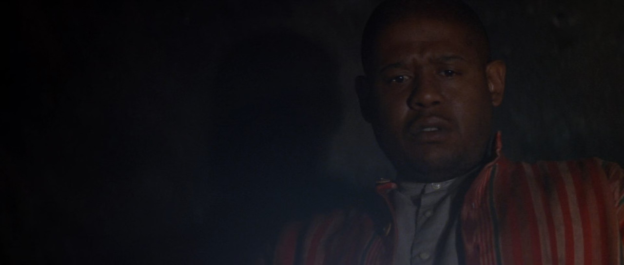 Species 1995 CE RM4K (1080p x265 10bit Tigole).m