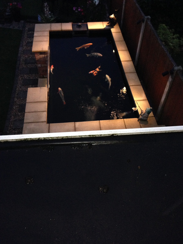 C87408AA-58FB-453C-9D57-3E5B92602C98