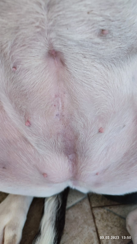 WhatsApp Image 2023-02-03 at 13.52.18 (1)