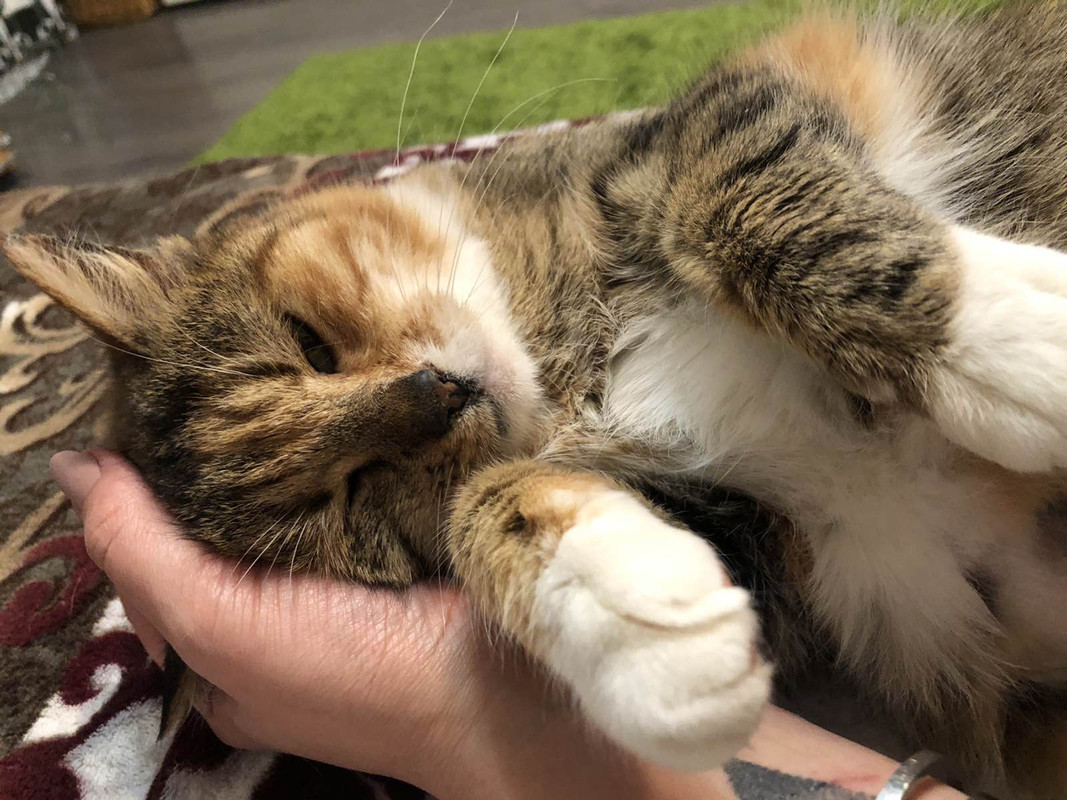 DC74670C-C2D2-4BC5-93B3-101334411BCF