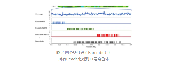 长分子DNA研究新方法stLFR展示出巨大潜力_3