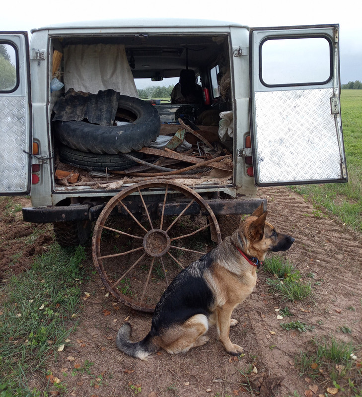 60672B0D-F484-449A-9856-9D3DA6320B65