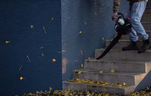 Downspout cleaning