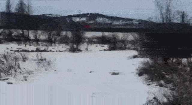 https://i.postimg.cc/mDx8JpQp/video-2026-08-05-01-56-21-(1)-(1).gif
