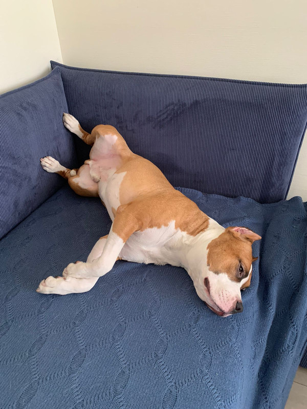 BF121420-8B33-4486-8021-F107BBFC0FDE