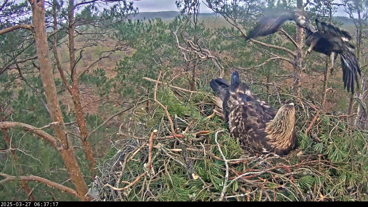 vlcsnap-2025-03-27-06h04m27s465