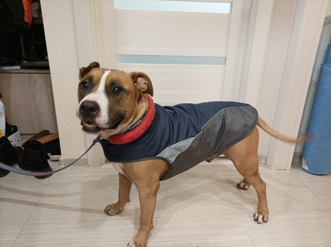 AE9EFA09-85BB-4451-8F98-5B14F3464A1A