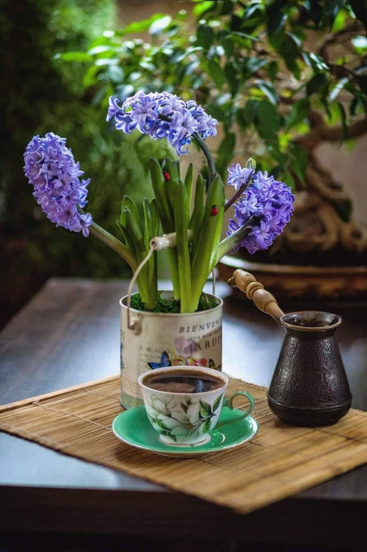 332154586_566674008522214_1243502142276161895_n