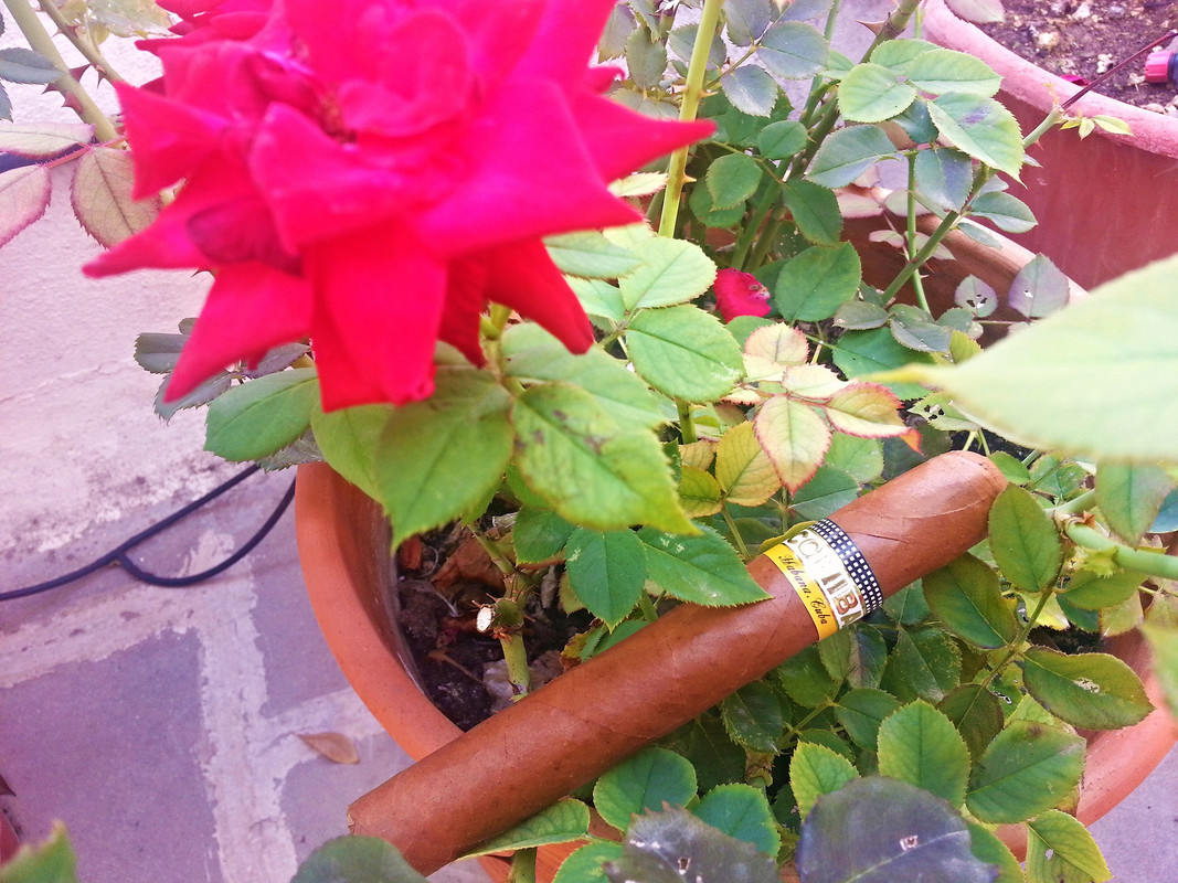 29572765981_f7317cdac4_o