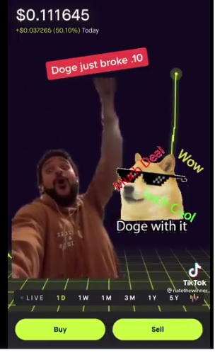 doge.jpg