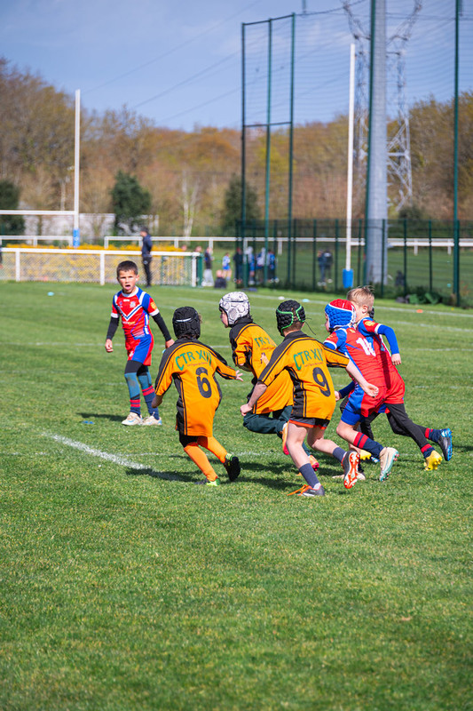 tournoi-de-latlantique-2026-adonis-griffon-183-55181680900-l