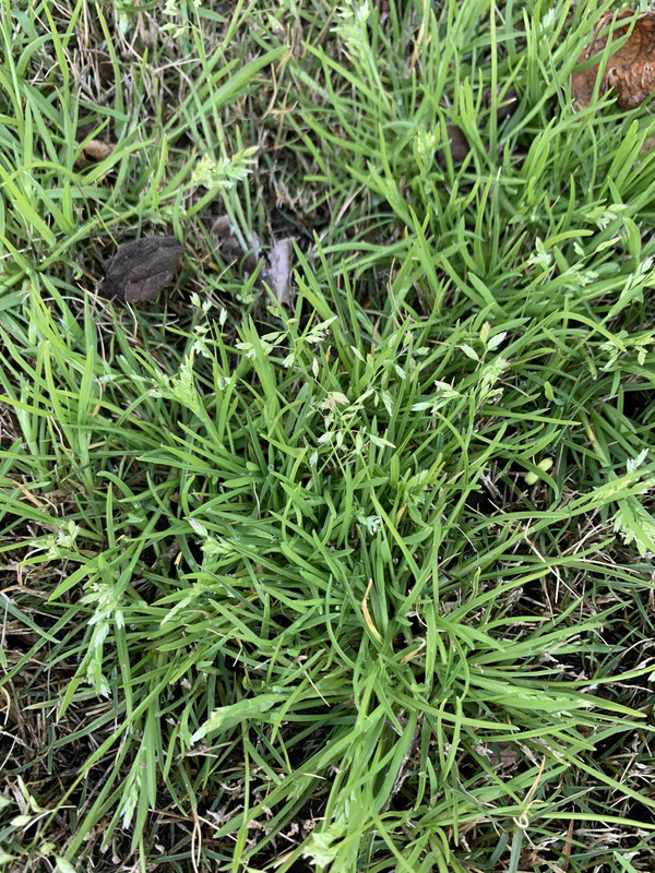 9411310F-1A4D-499E-B117-DDD073AB5EBD