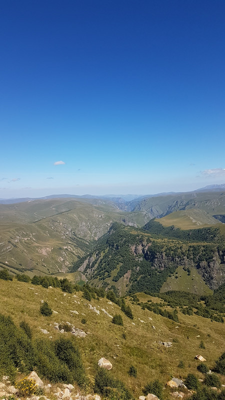 Не реальные шпильки сучки