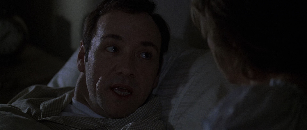 American Beauty (1999).mkv_snapshot_00.44.58_[2018.02.17_22.53.0