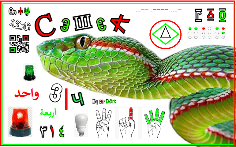 https://i.postimg.cc/mDygRgqK/54.png
