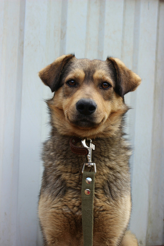 E0600B44-6FFA-497C-A1FE-9D1B6AB575A9