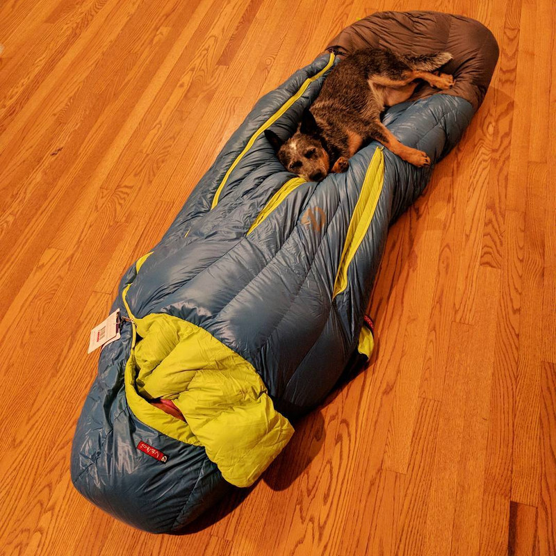 Nemo Disco 30 Sleeping Bag