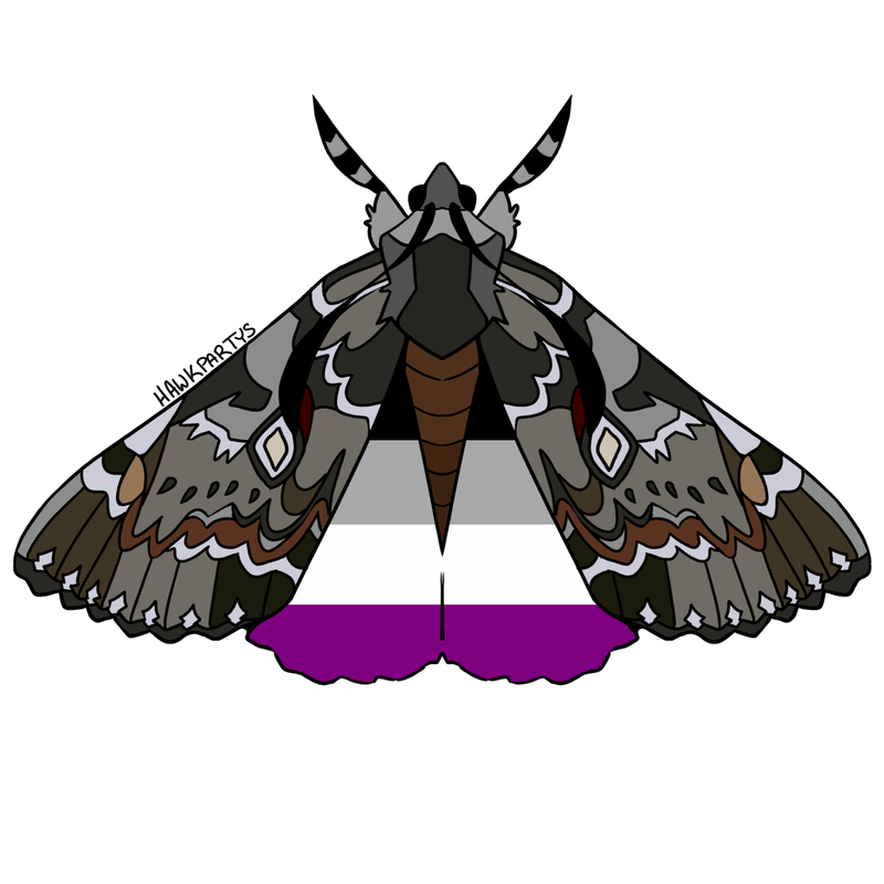 moths1-3