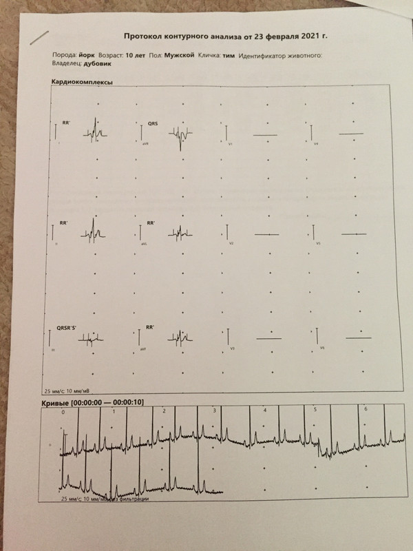 6C53BECD-4015-485A-8762-3F3D2DDD4E70