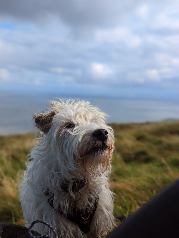 PXL_20230918_130430718.PORTRAIT~2