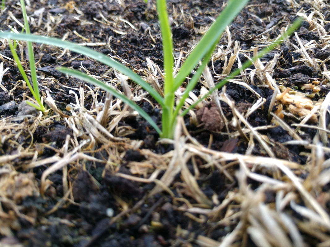 IMG_20170902_082536249