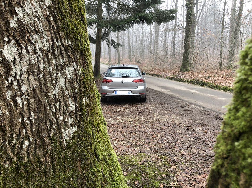 68207A73-DE1C-41F3-8876-2310254926AC