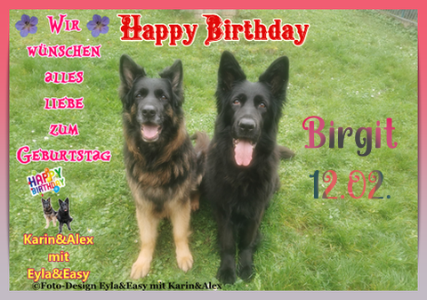 An den Beitrag angehängtes Bild: https://i.postimg.cc/mDzB1svm/Vorlage-Bild-Geburtstag-2025-png-Birgit.png