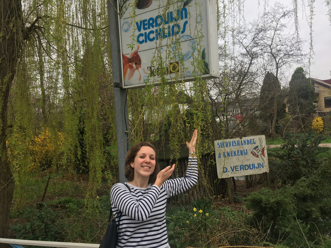 EAEAF1A5-4EC0-4176-85D0-6B8D41A05FB0