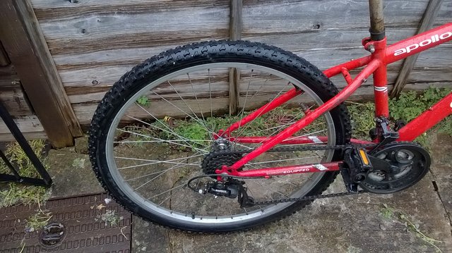 WP-20190509-005.jpg
