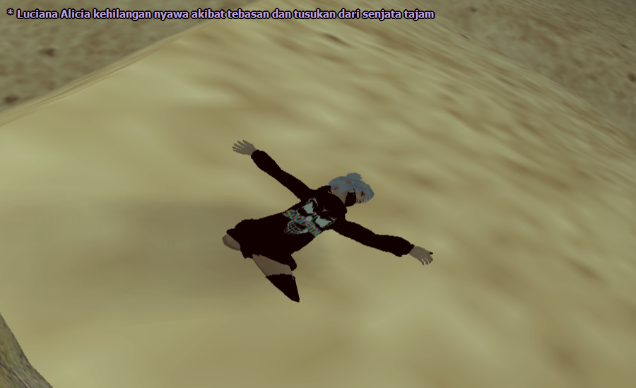 SS24.png