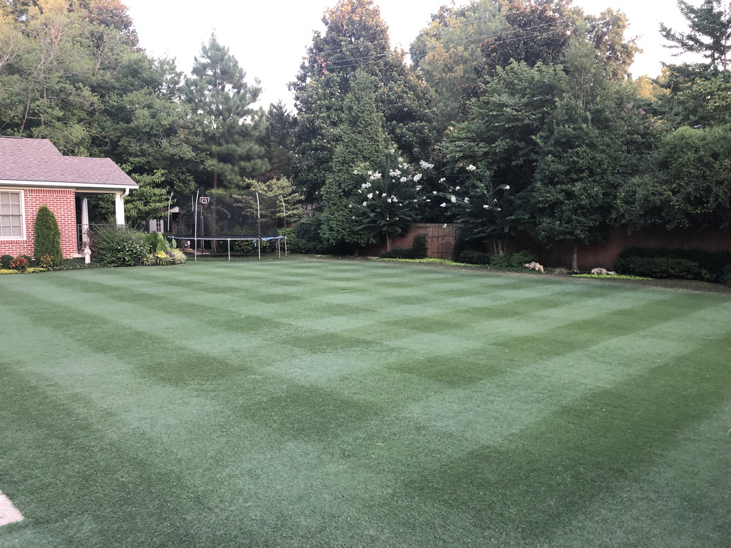 AB6B741B-CD86-42F1-B64E-78F3B207C652