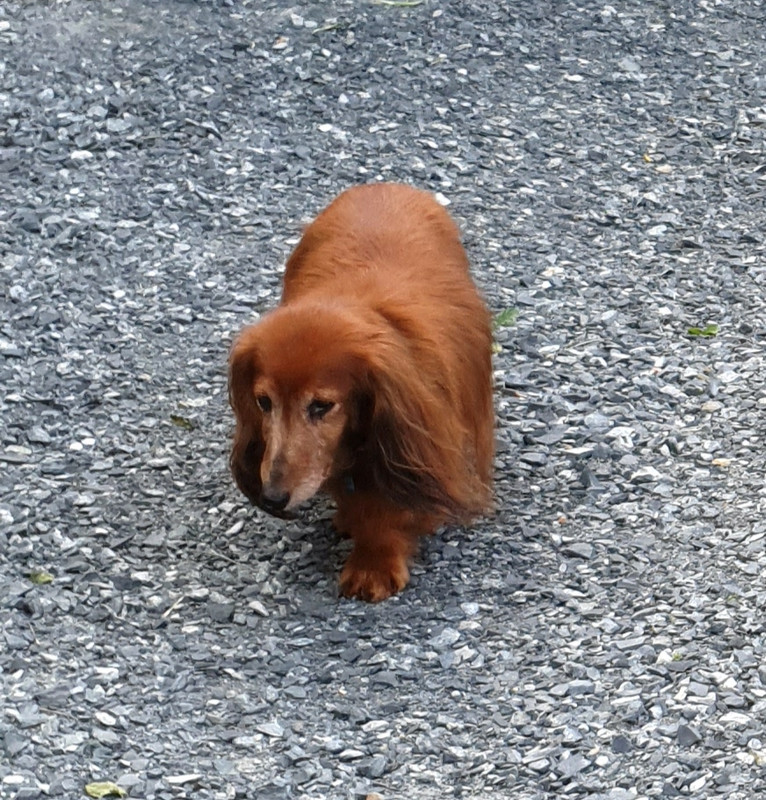 [Image: 20210816-190715.jpg]