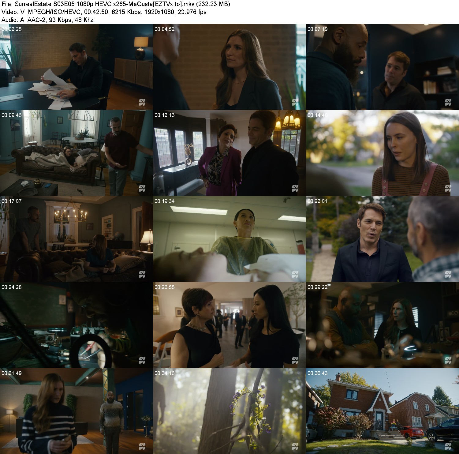 [Image: 81jqyyc91zna.jpg]