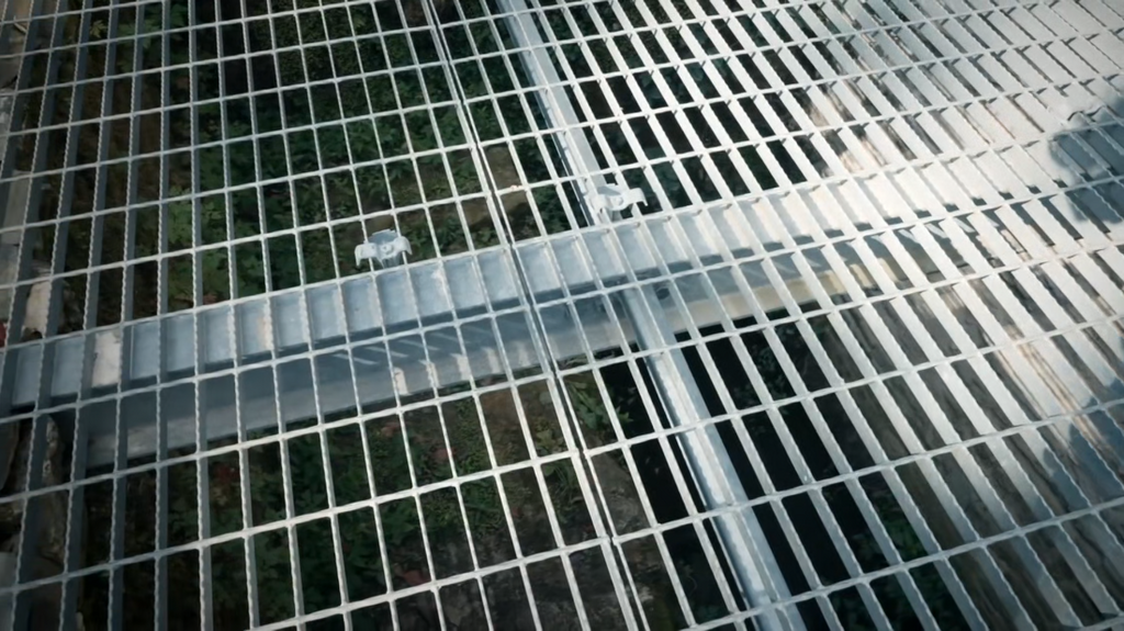 [Image: i8dl6gn30xsl.png]