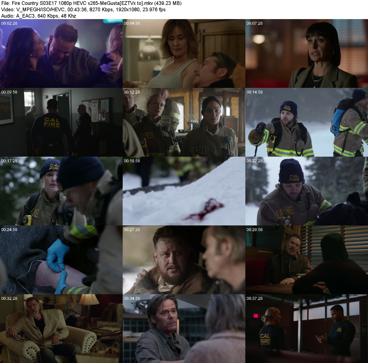 [Image: hmfm0rj975ho.jpg]