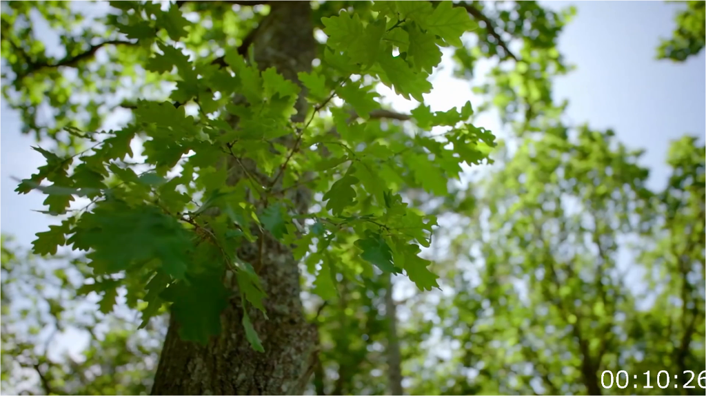 [Image: cn9ha01m3rfw.png]