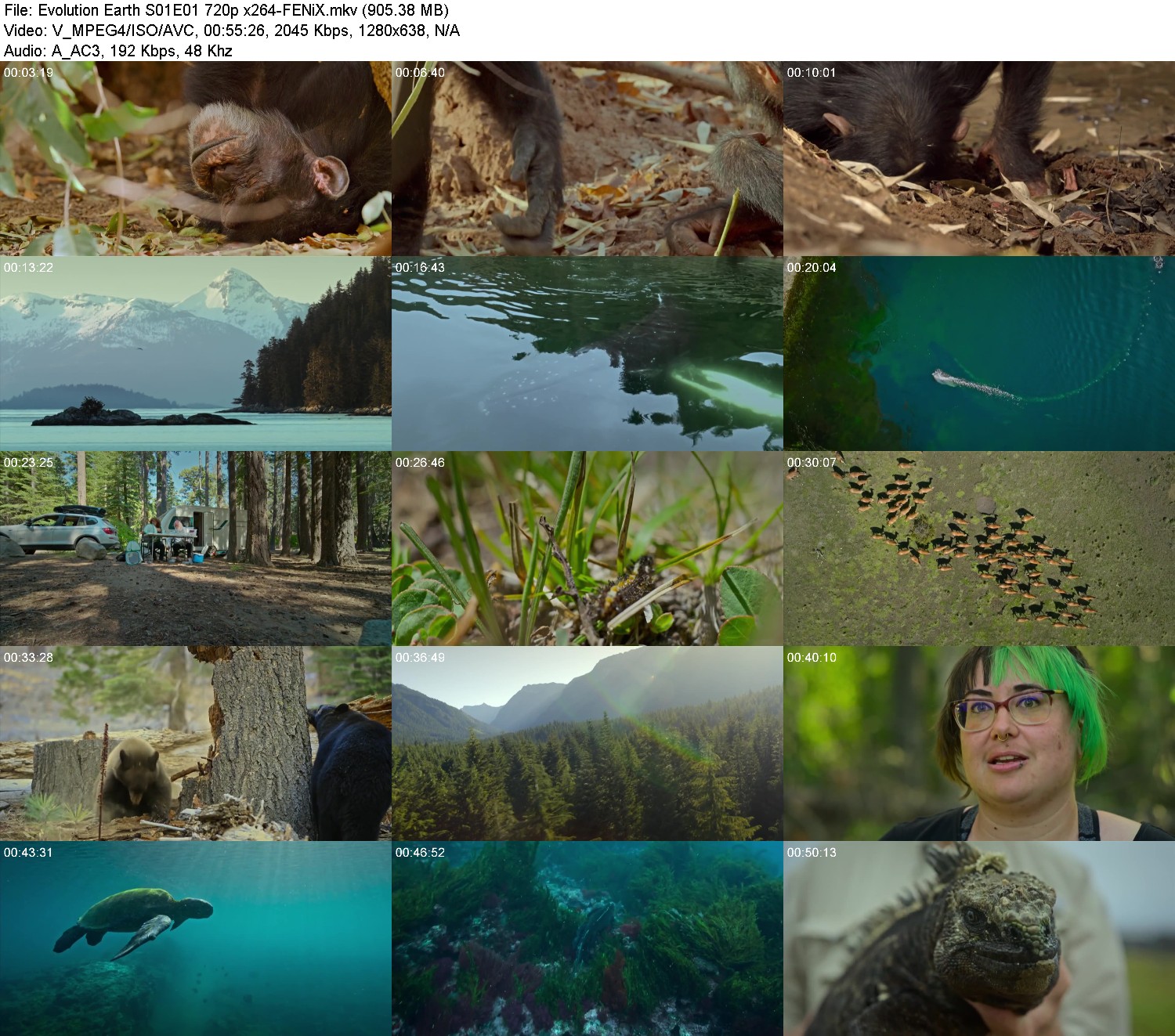 [Image: 5sw-c0jkp2cl7.jpg]