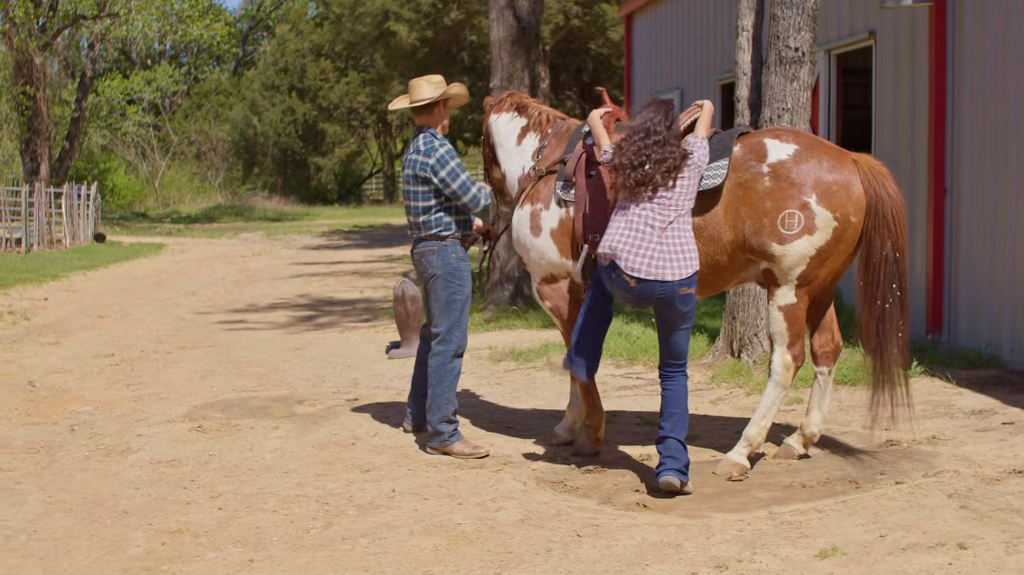 [Image: ovre68lj8h8w.png]