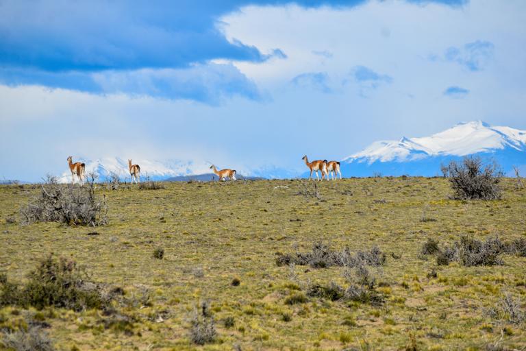 В джазе только девушки или аргентинско-бразильский калейдоскоп В джазе только девушки или аргентинско-бразильский калейдоскоп
