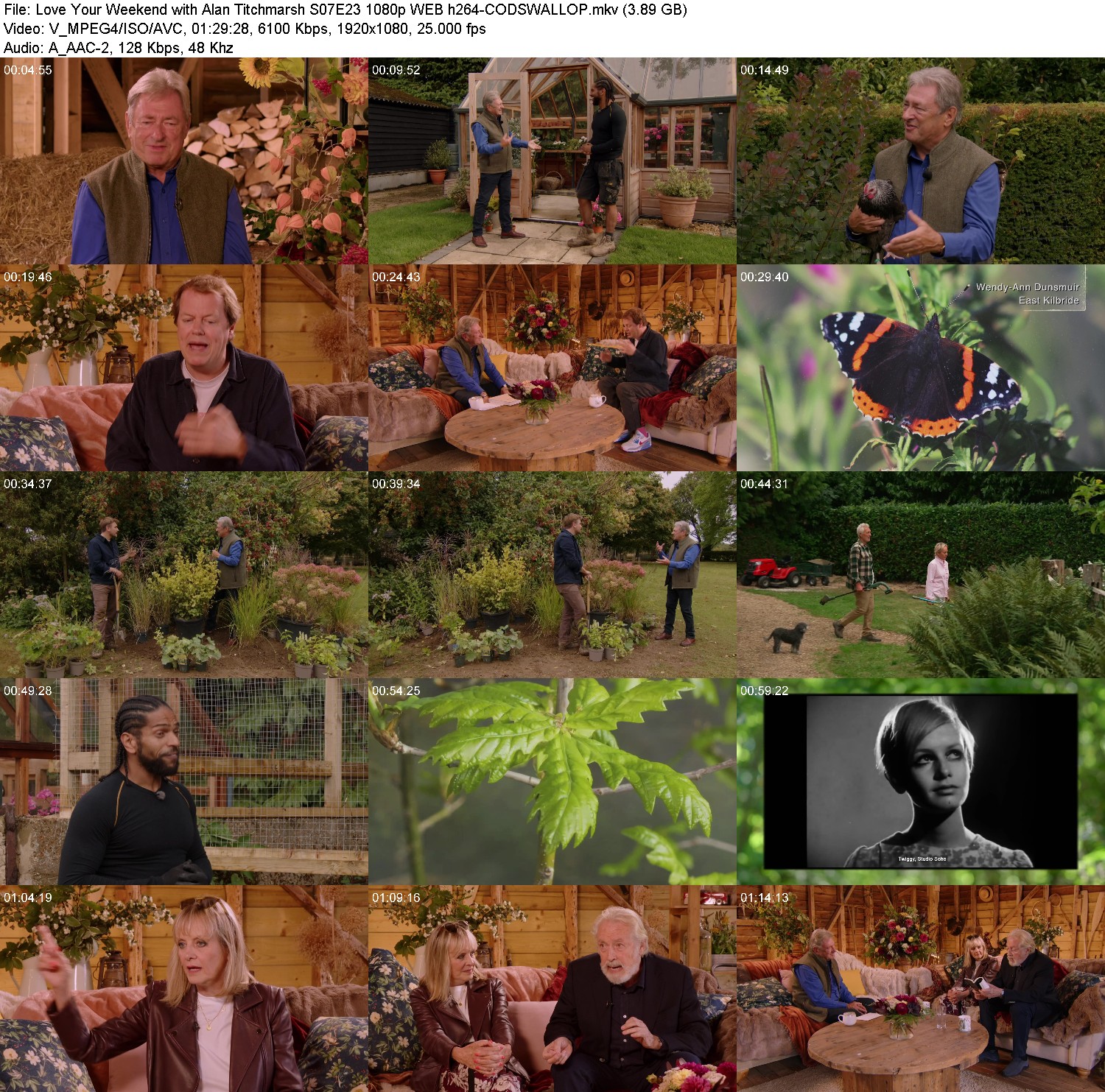 [Image: na0u90d4niwr.jpg]