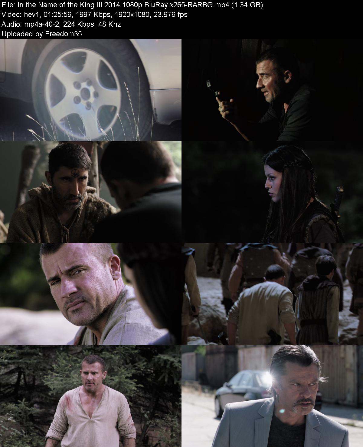 In-the-Name-of-the-King-III-2014-1080p-B