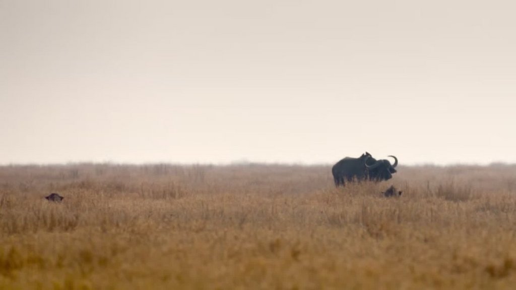 [Image: 20ysbqb8v7pa.jpg]